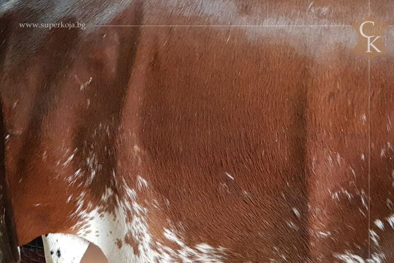 Hair-on cow hides brown
