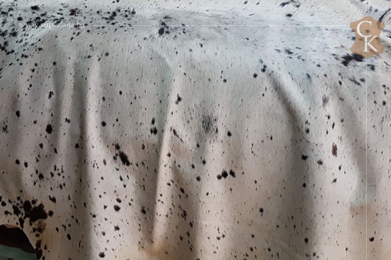 Hair-on cow hides single color - 12