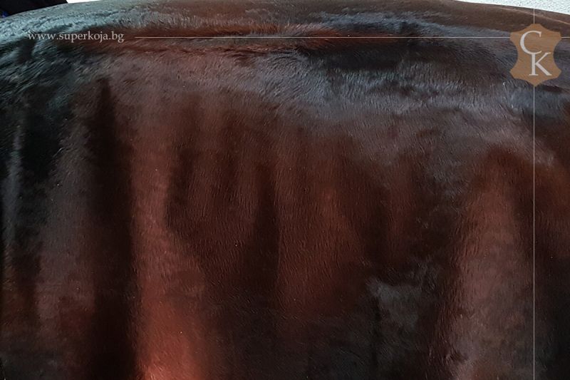 Hair-on cow hides dark brown - 11