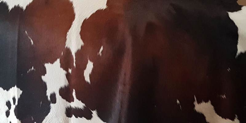 Cow hair on hides
